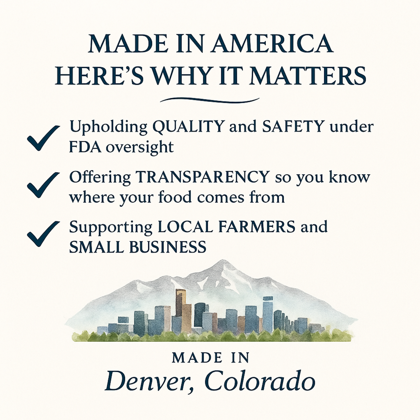 Text about 'Made in America' with a mountain and cityscape illustration at the bottom.